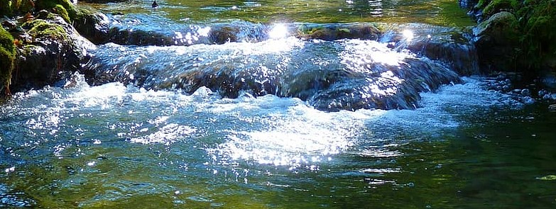 Maya-river.jpg